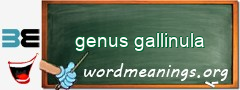 WordMeaning blackboard for genus gallinula